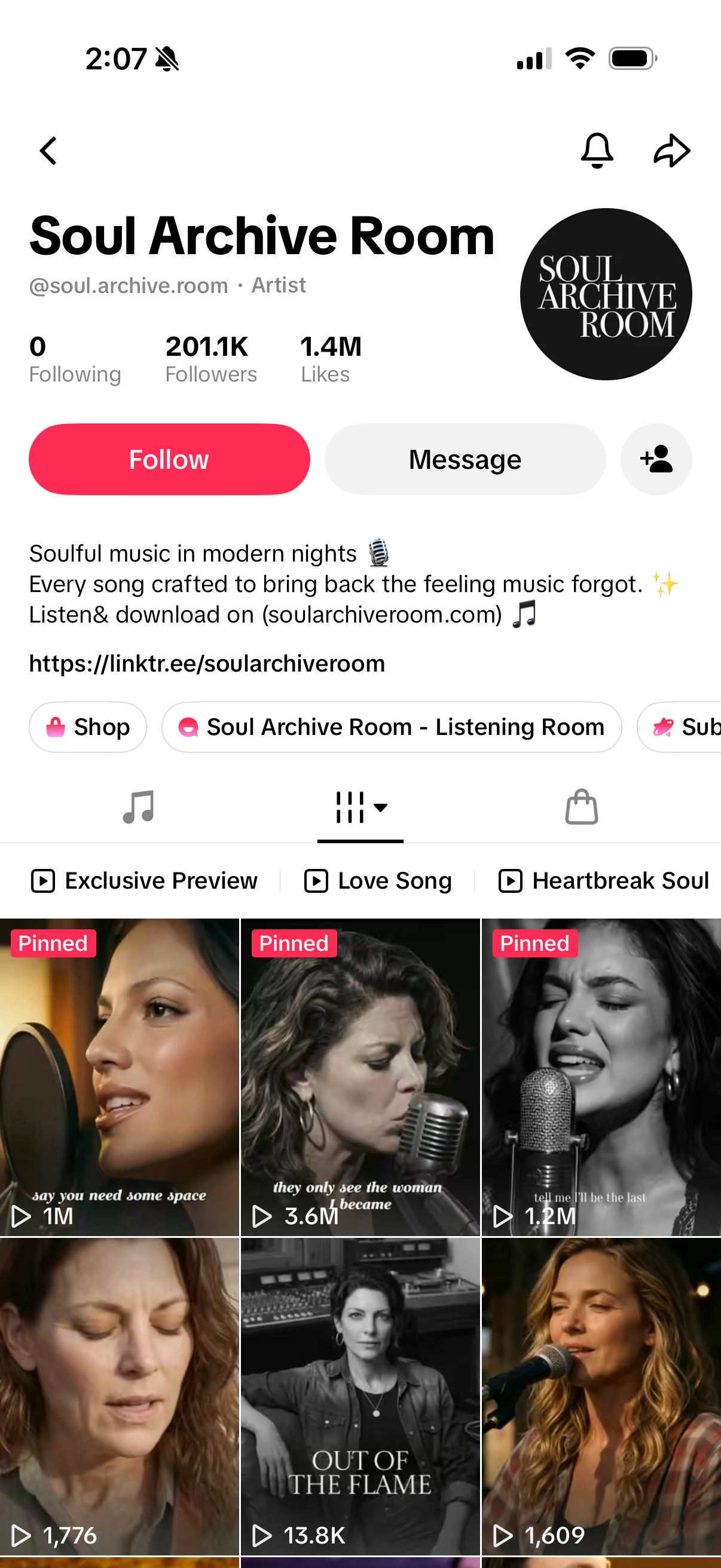 Soul Archive Room on TikTok