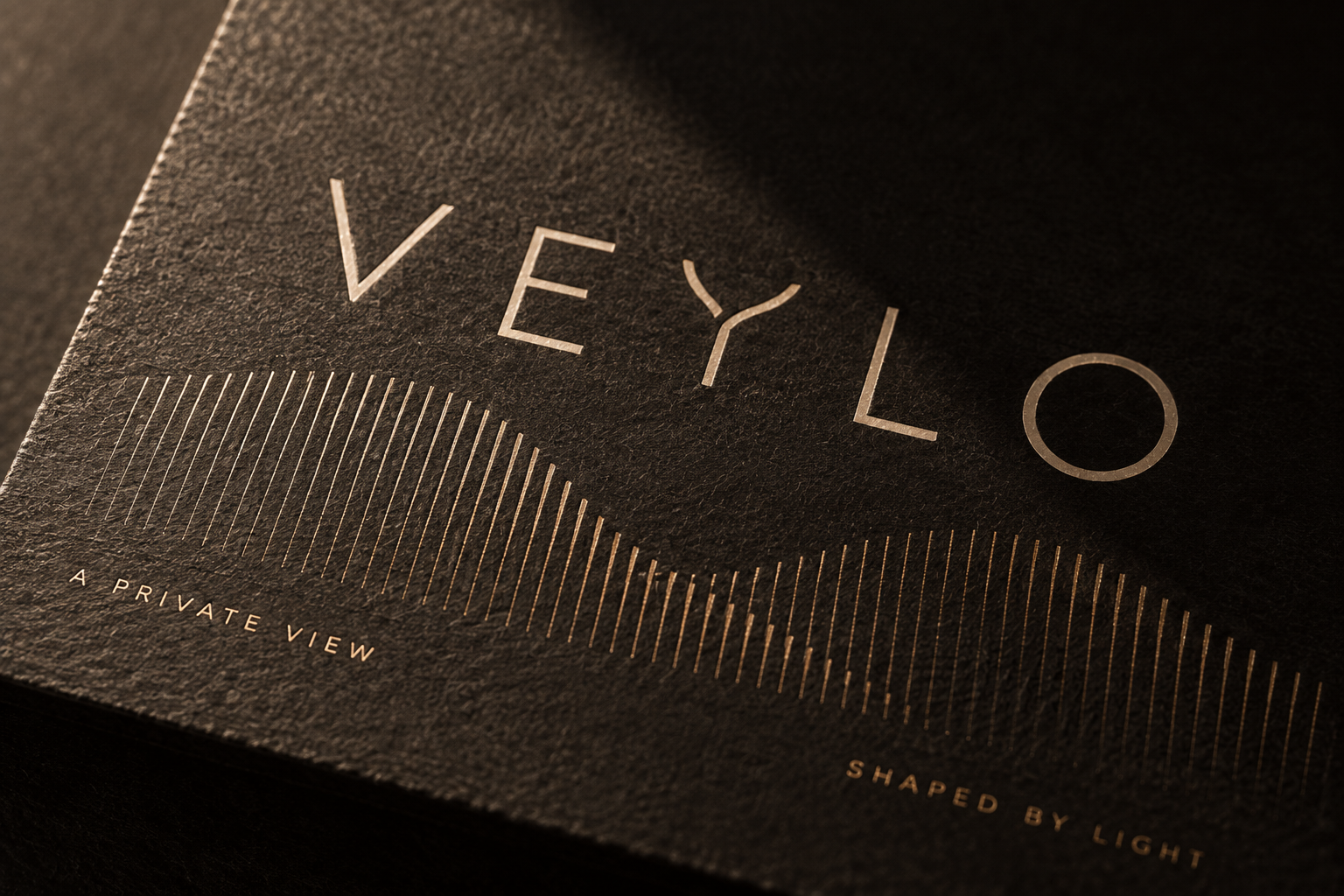 VEYLO champagne foil wordmark on textured dark paper