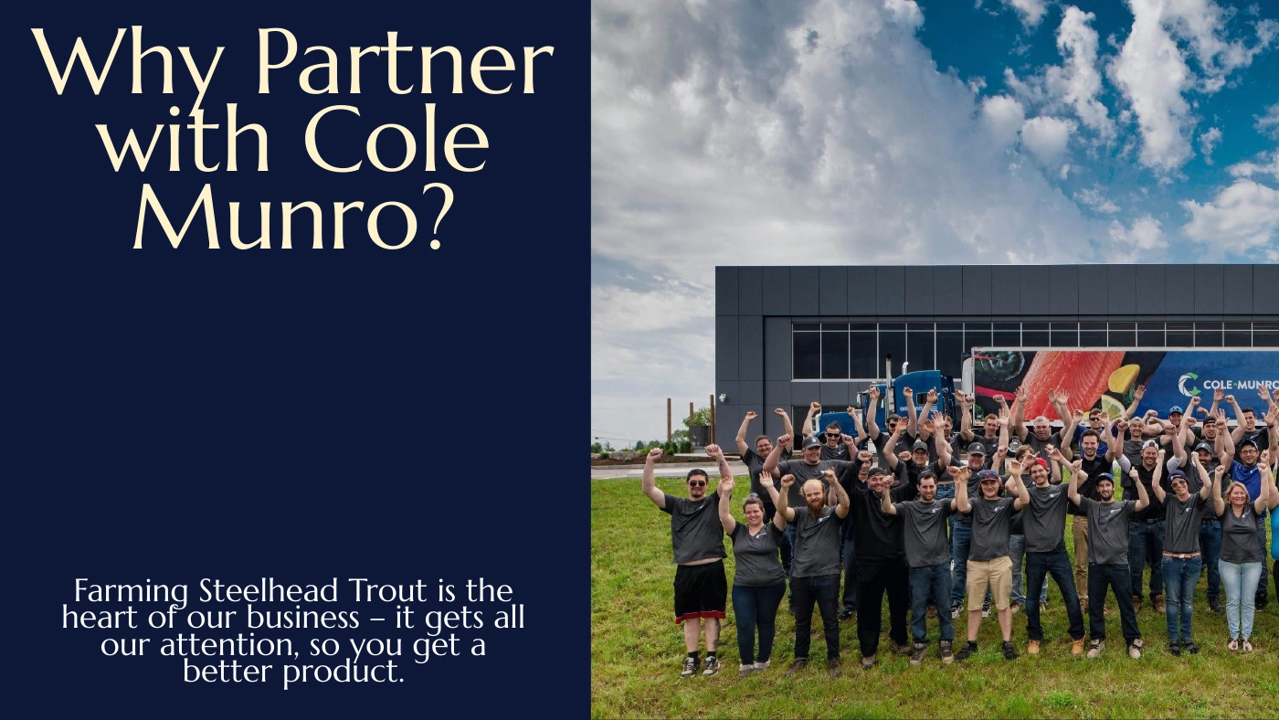 Cole Munro sales presentation, slide 8